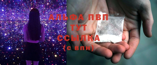 СК Вязьма