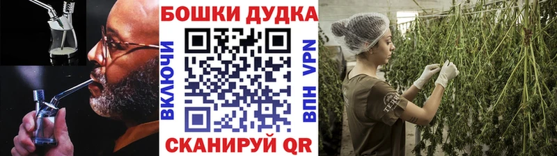 Конопля AK-47  Купить где  Куровское 